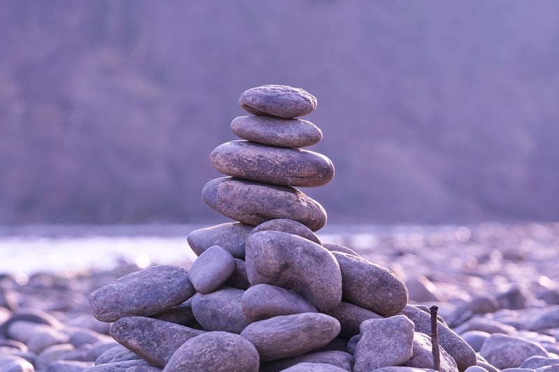 Tai Chi Harmony
