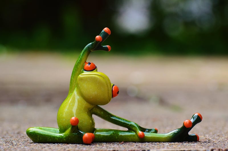 Pilates Flow Exercise